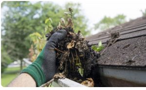 gutter cleaning